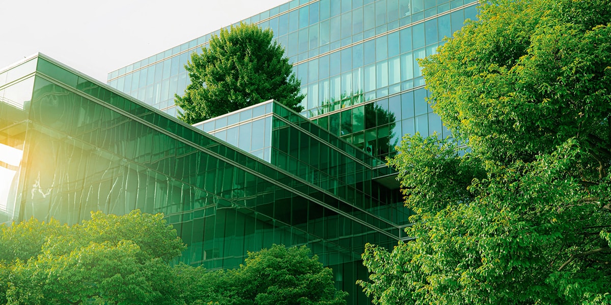 CFOs can help meet corporate ESG goals