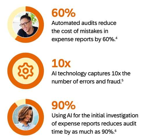 audit efficiency