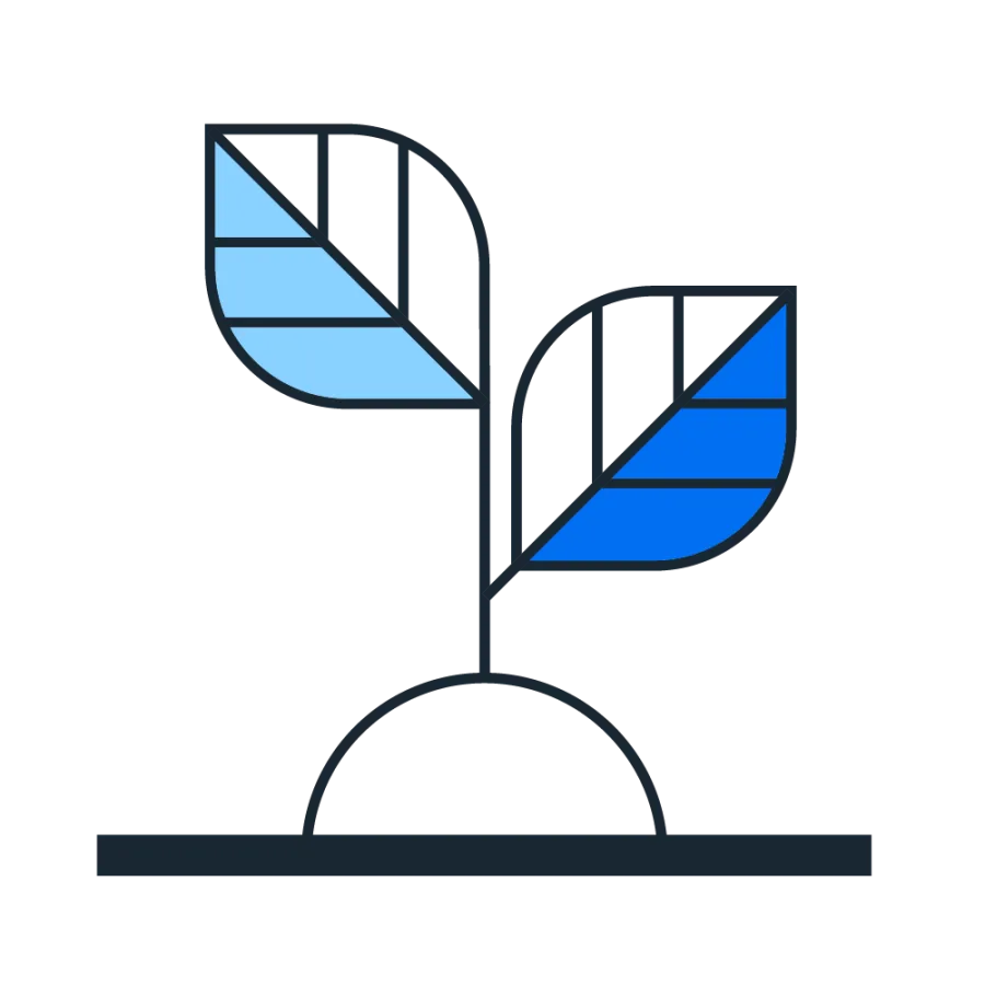 plant growth