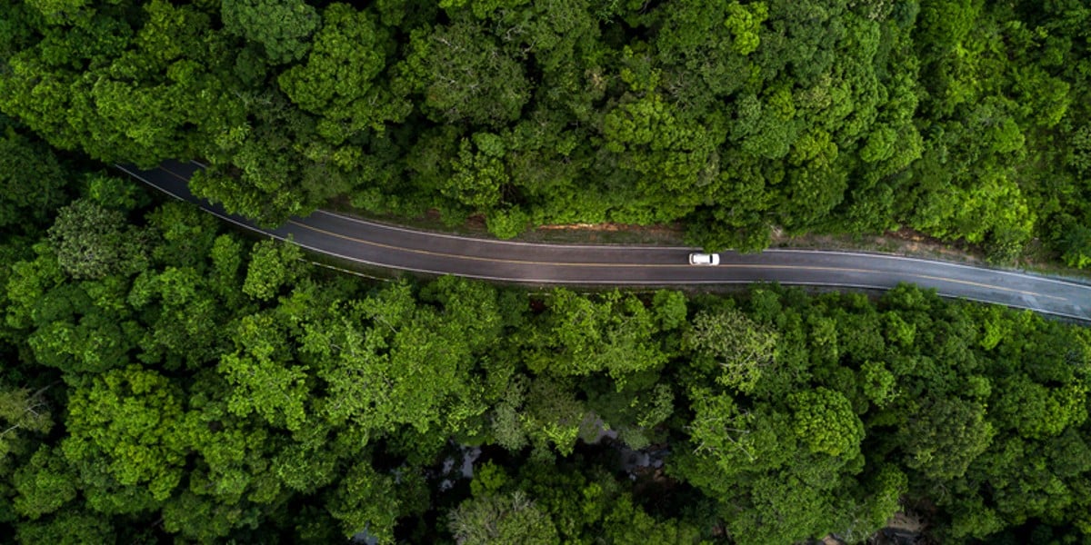 Car on forest road