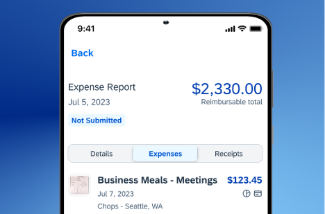 A view of concur expense platform