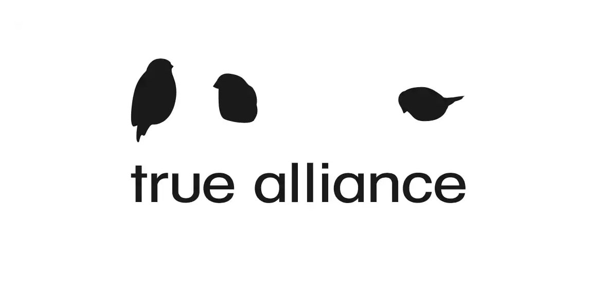 Mid sized business - True Alliance logo